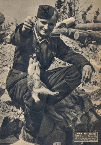 Waffen SS soldiers and kitten 2.jpg