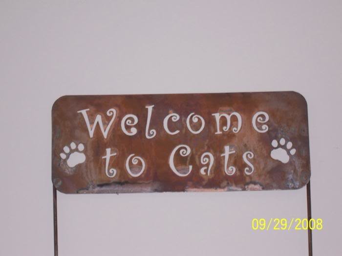 WELCOME20TO20CATS_700x525.jpg