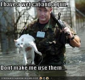 Wet Cat.jpg